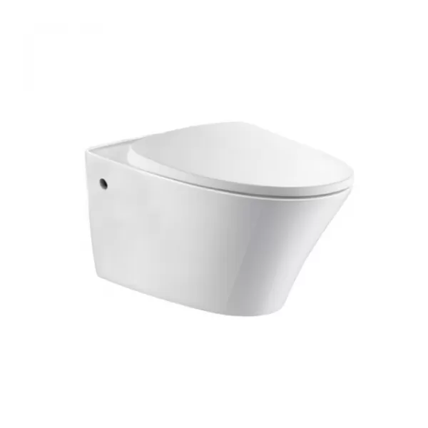 Bồn cầu treo tường MOEN
