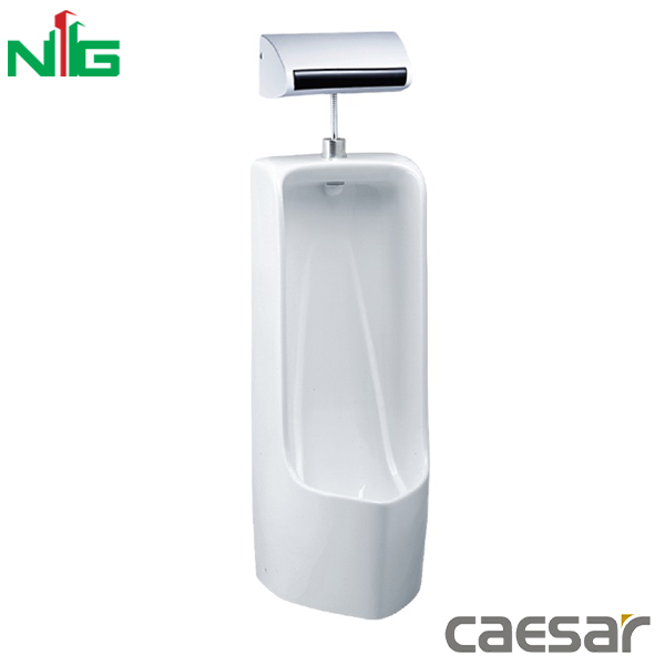 Bồn Tiểu Nam Đặt Sàn CAESAR U0296