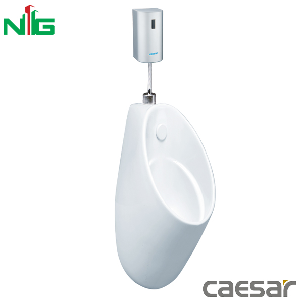 Bồn Tiểu Nam Treo Tường CAESAR U0211