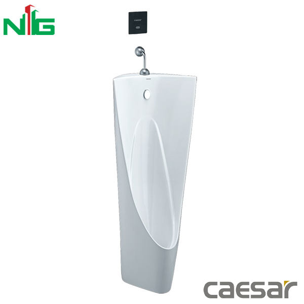 Bồn Tiểu Nam Đặt Sàn CAESAR U0239