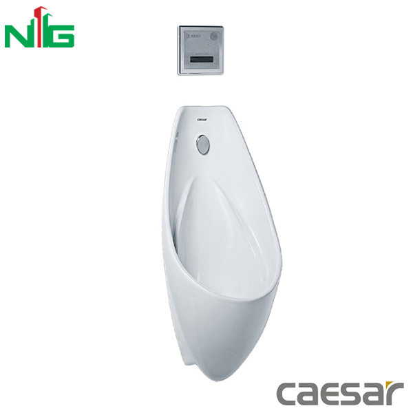 Bồn Tiểu Nam Treo Tường CAESAR U0264