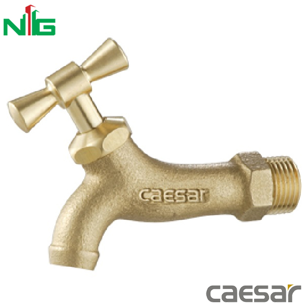 Vòi Lavabo Lạnh Gắn Tường CAESAR W034