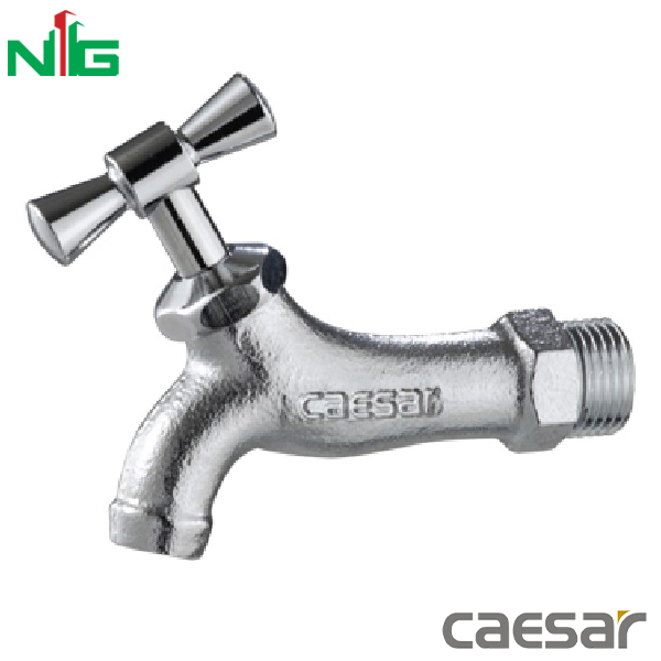 Vòi Lavabo Lạnh Gắn Tường CAESAR W035-1