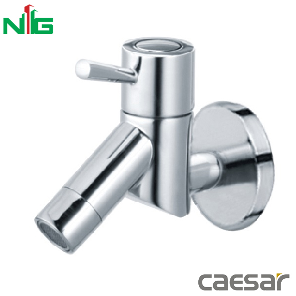 Vòi Lavabo Lạnh Gắn Tường CAESAR W047C
