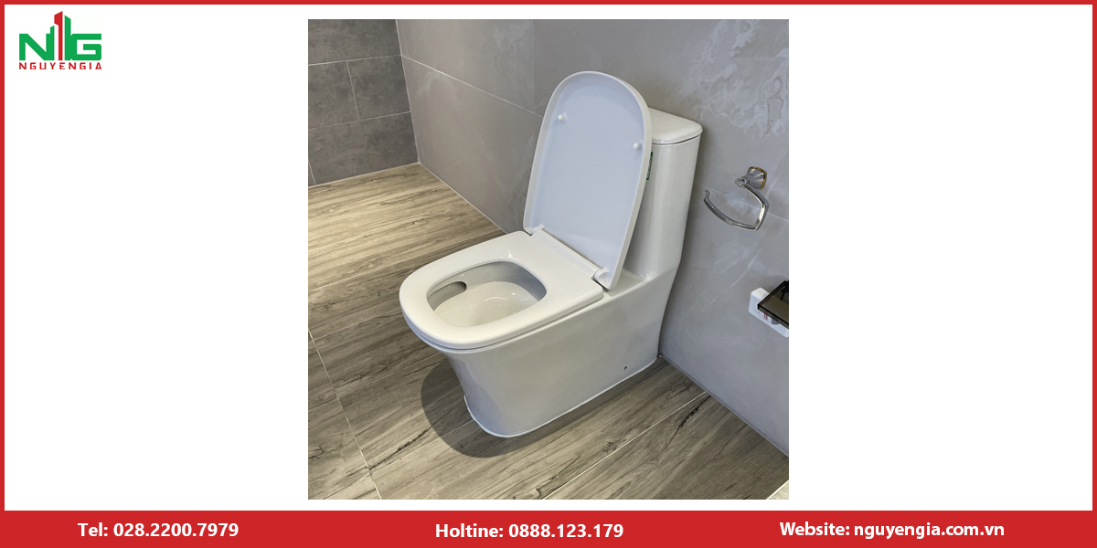 Bồn cầu 1 khối GROHE