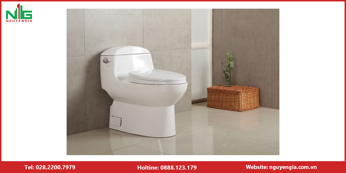Bồn Cầu 1 Khối TOTO