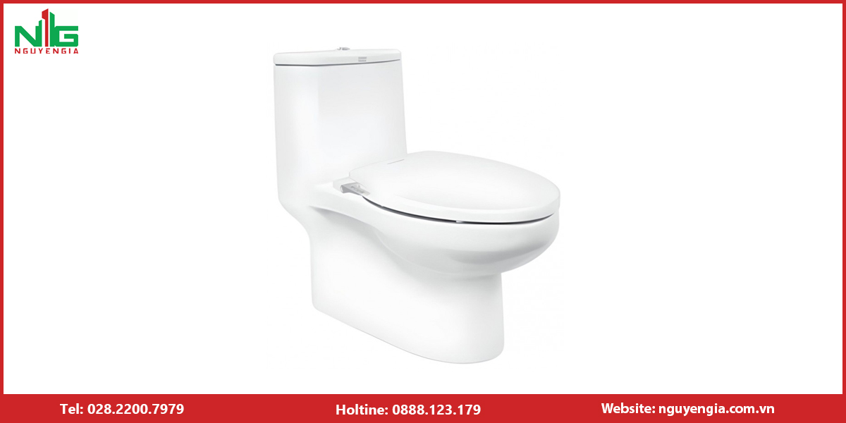 Bồn cầu nắp rửa cơ American Standard
