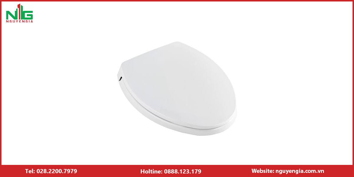 Địa chỉ mua nắp bồn cầu Toto