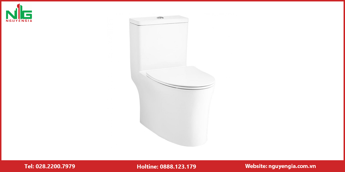 Lưu ý bồn cầu 1 khối Cotto
