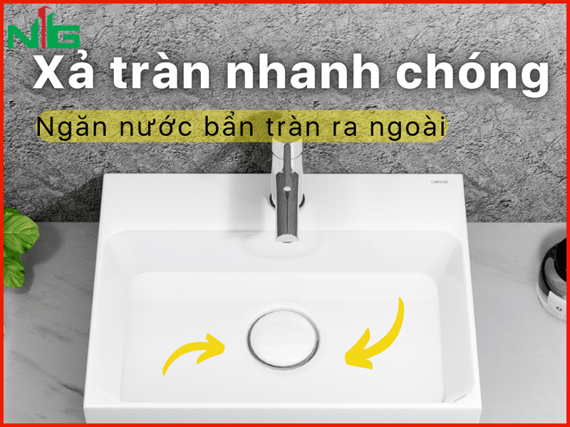 lo-thoat-tran-duoc-lam-bang-su-cao-cap-co-do-ben-cao