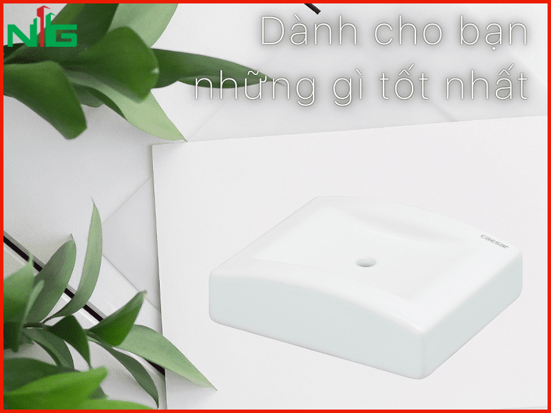 mang-nhung-gi-tot-nhat-den-tan-tay-cua-ban