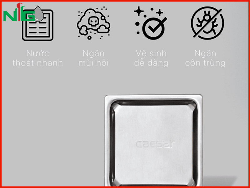 uu-diem-noi-bat-cua-pheu-thoat-nuoc