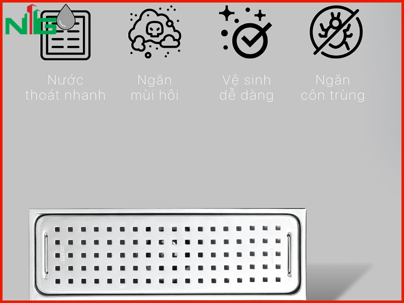 nhung-uu-diem-noi-bat-cua-pheu-thoat-san