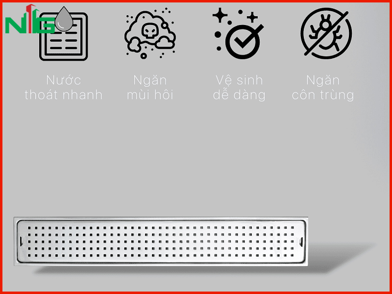 nhung-tinh-nang-noi-bat-cua-pheu-thoat-san-caesar